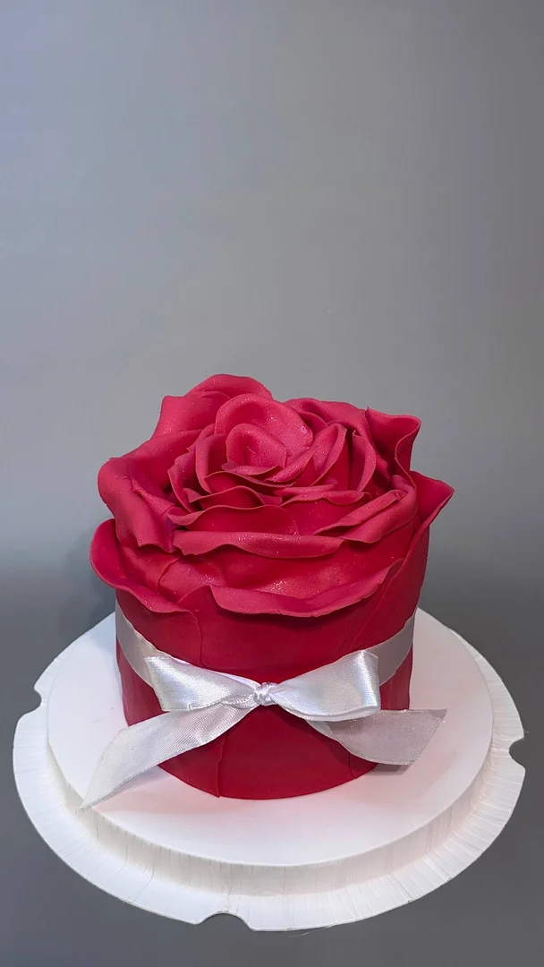 bento-maxi S (700 גרם)